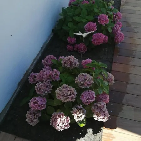 D'hote Ensoleillee A 300m De La Panzió La Guérinière