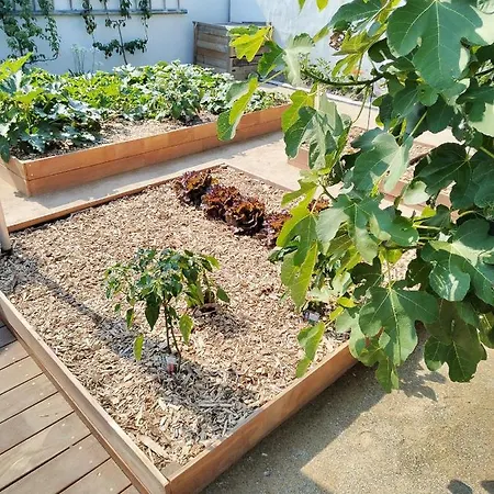 D'hote Ensoleillee A 300m De La 4* La Guérinière